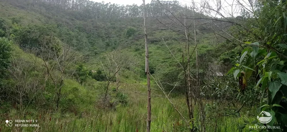 Sítio, 24 hectares - Foto 4