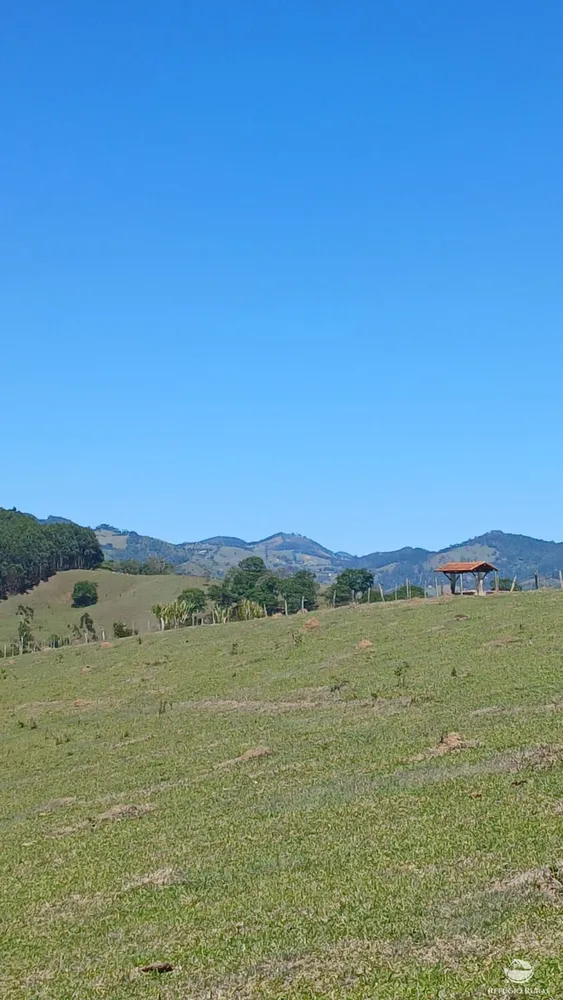 Terreno, 3 hectares - Foto 10