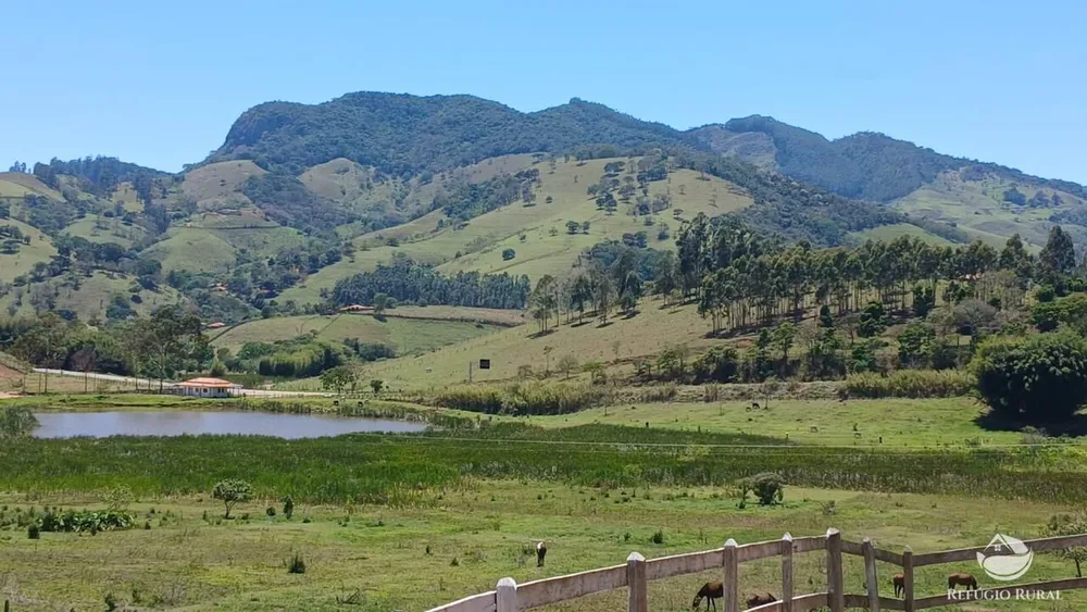 Terreno, 3 hectares - Foto 6