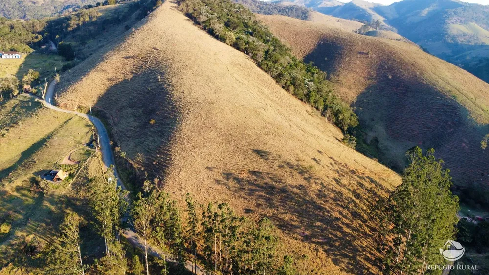 Terreno, 10 hectares - Foto 11
