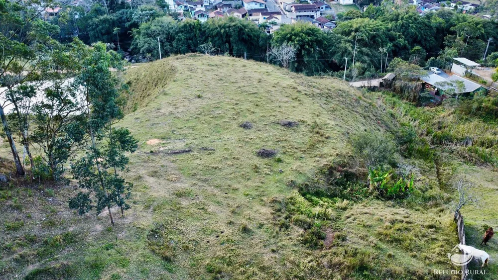 Terreno, 10 hectares - Foto 8