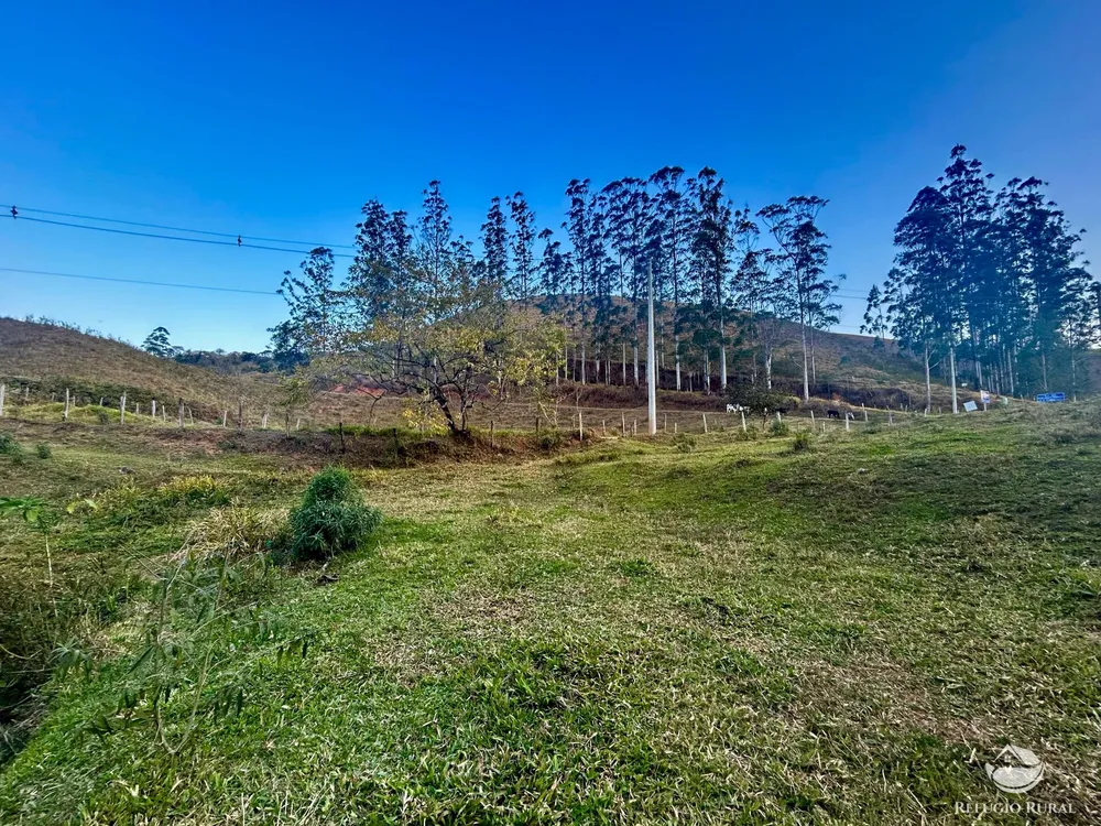 Terreno, 10 hectares - Foto 2