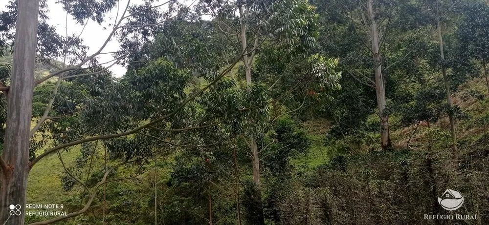 Terreno, 22 hectares - Foto 3