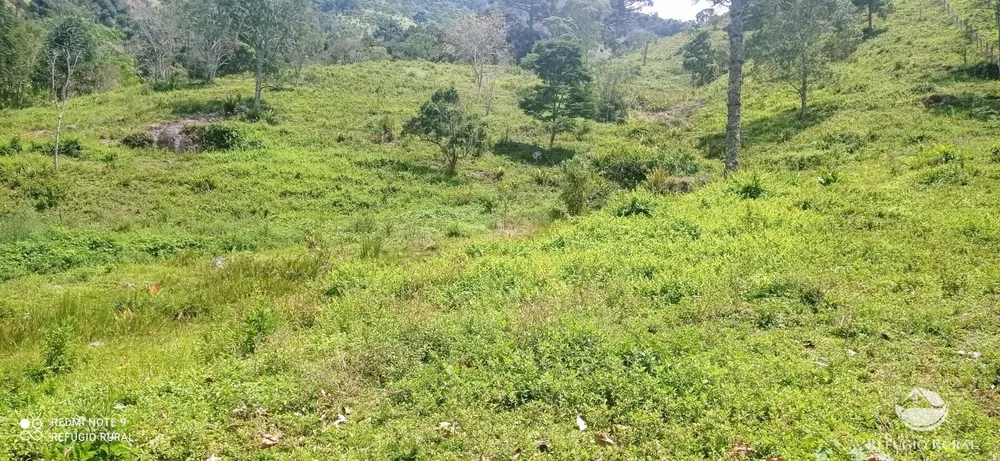 Terreno, 22 hectares - Foto 15