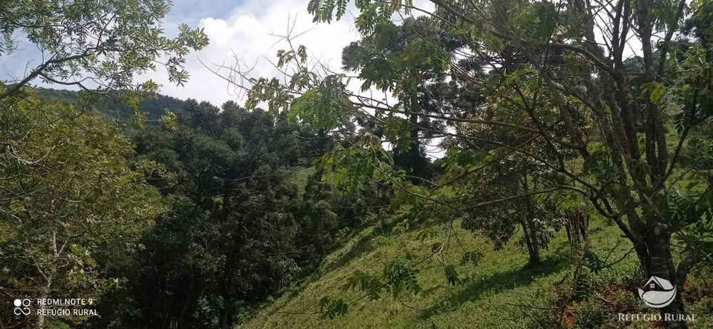 Terreno, 22 hectares - Foto 12
