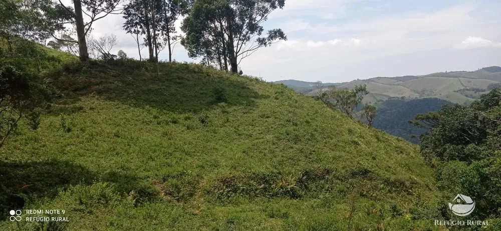 Terreno, 22 hectares - Foto 4