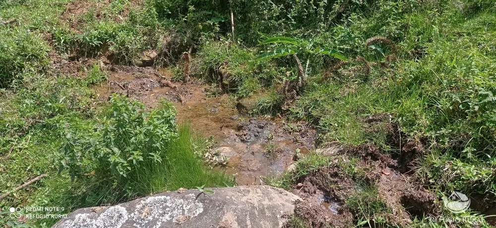Terreno, 22 hectares - Foto 16
