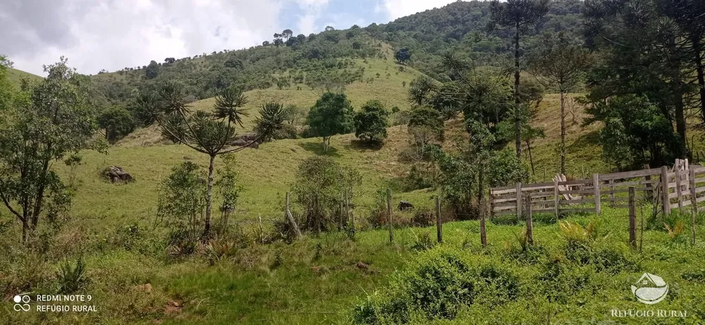 Terreno, 22 hectares - Foto 7