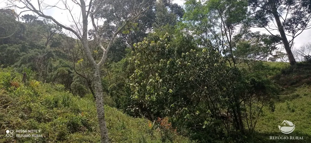 Terreno, 22 hectares - Foto 9
