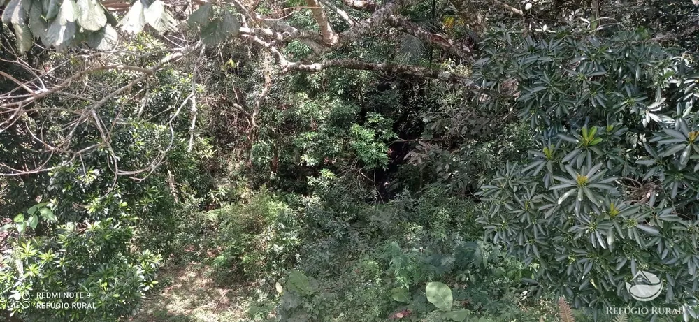 Terreno, 22 hectares - Foto 8