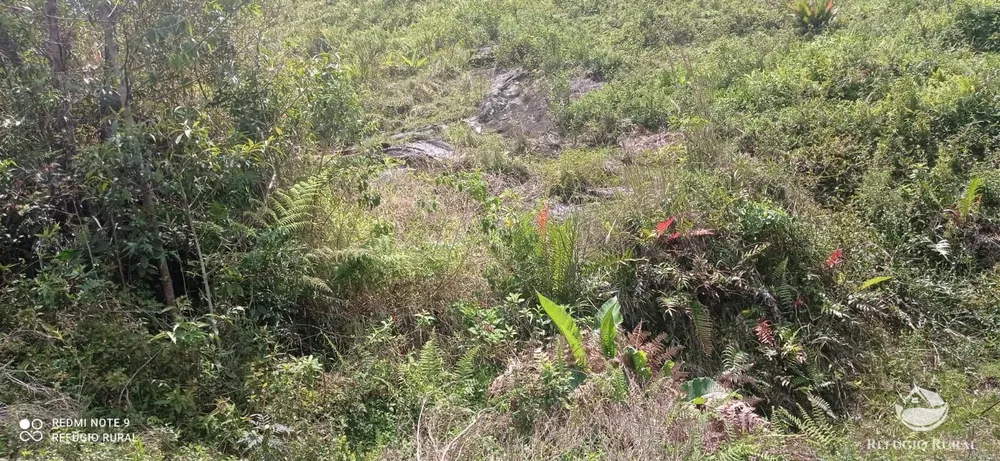 Terreno, 22 hectares - Foto 13