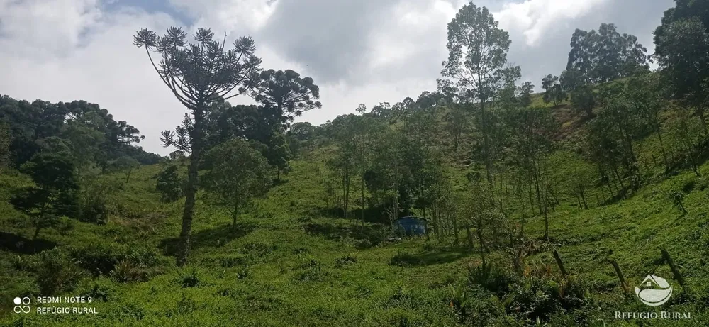 Terreno, 22 hectares - Foto 14