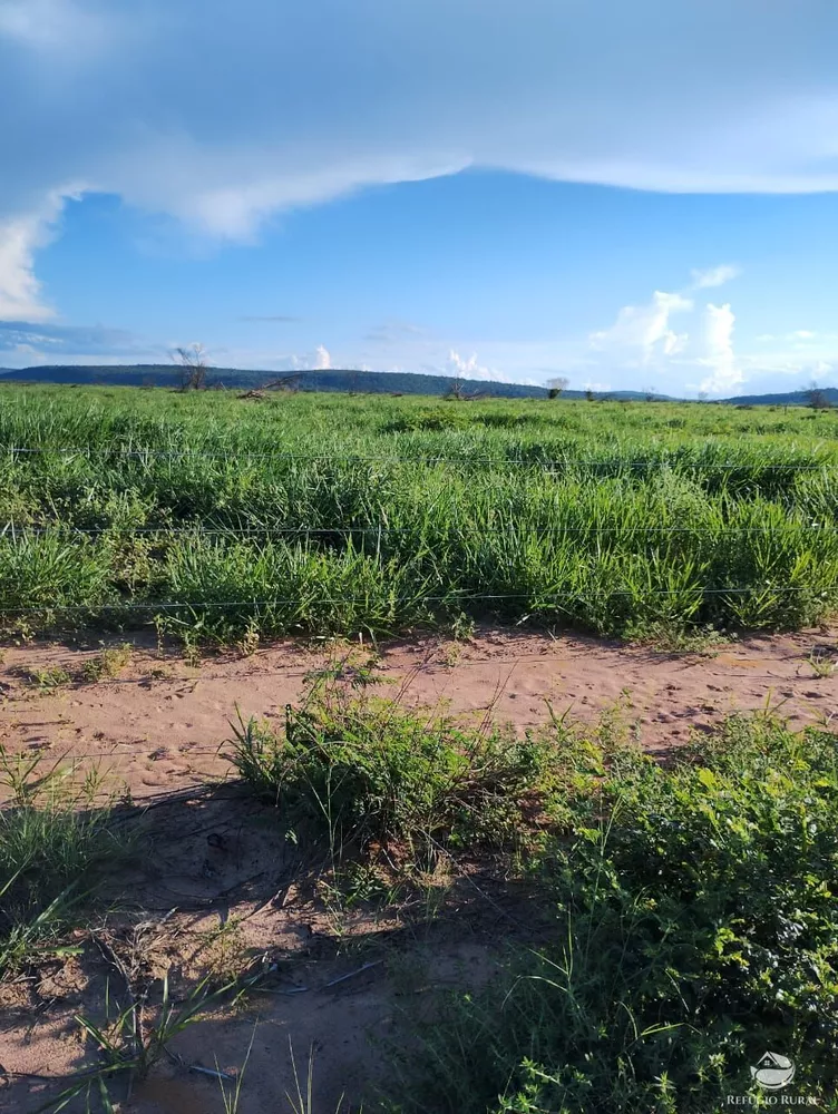 Fazenda, 4000 hectares - Foto 4