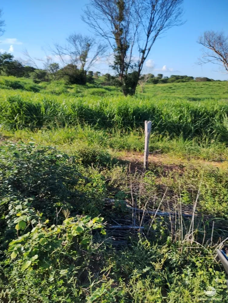 Fazenda, 4000 hectares - Foto 10