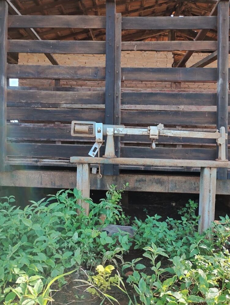 Fazenda, 4000 hectares - Foto 8