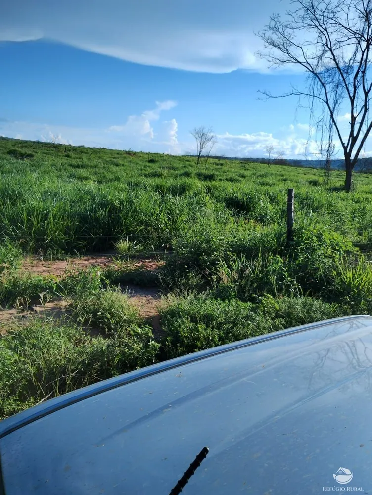 Fazenda, 4000 hectares - Foto 12