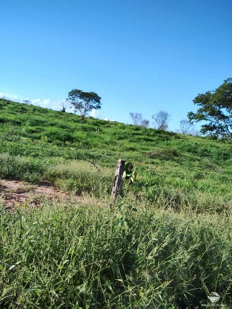 Fazenda, 4000 hectares - Foto 1