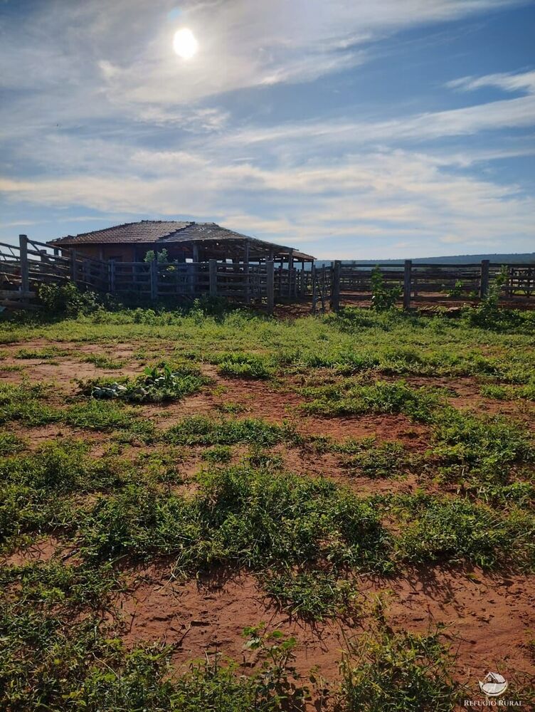 Fazenda, 4000 hectares - Foto 6