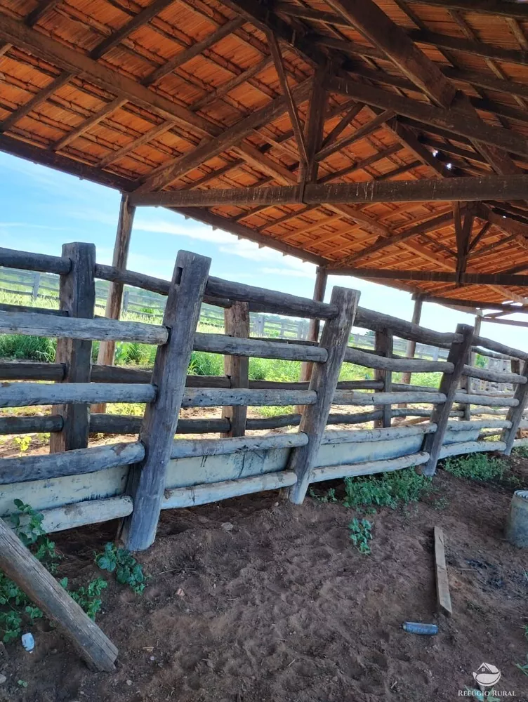 Fazenda, 4000 hectares - Foto 2