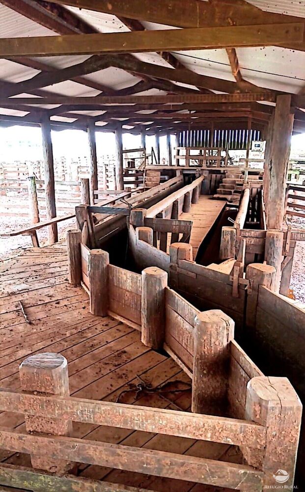 Fazenda, 10000 hectares - Foto 8