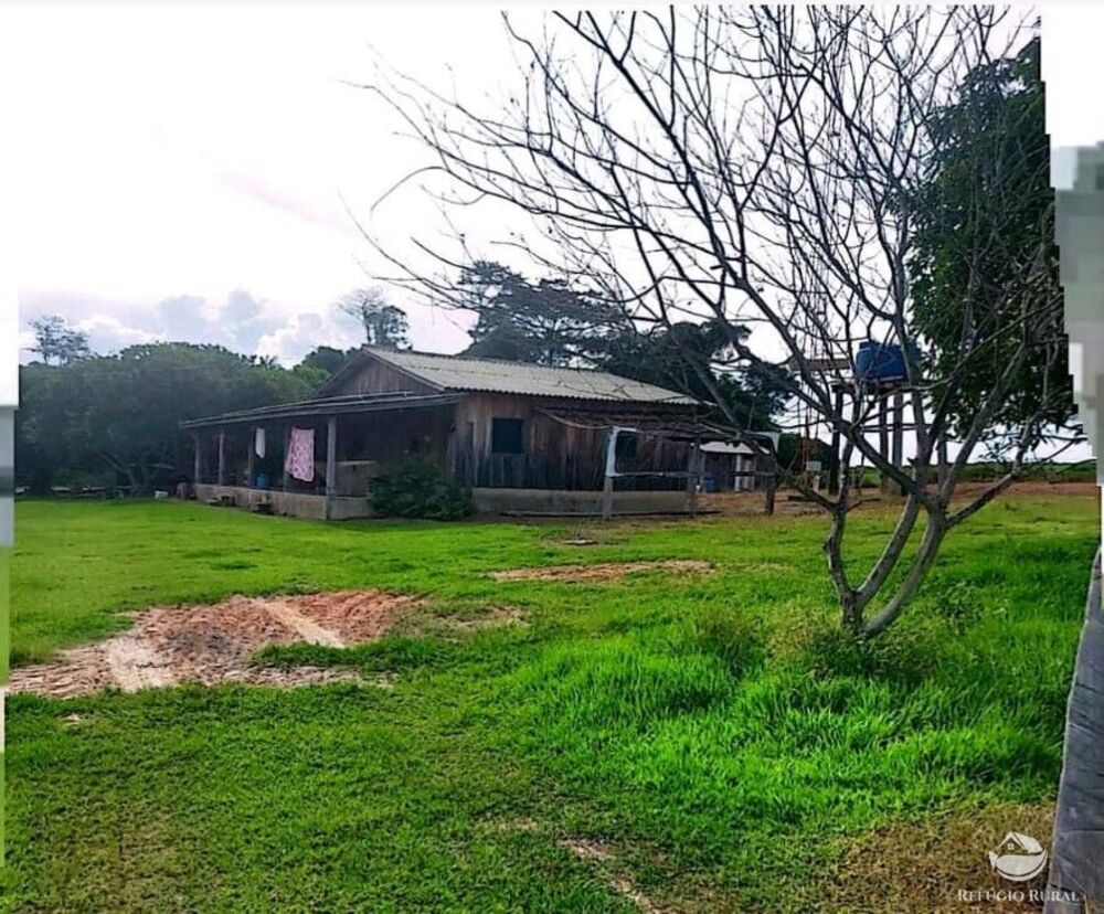 Fazenda, 10000 hectares - Foto 6