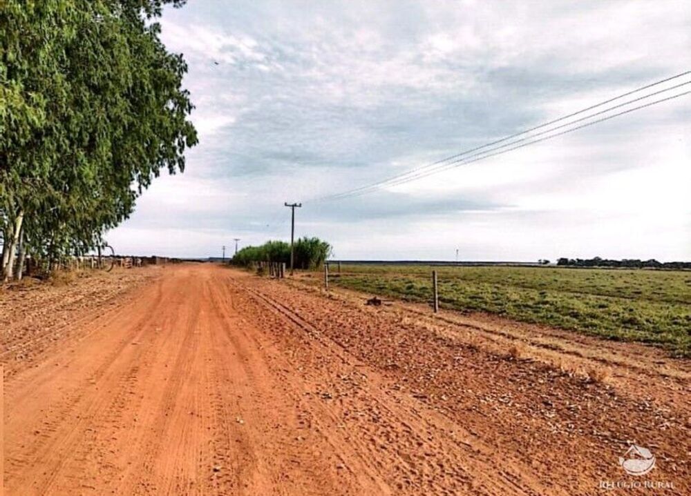 Fazenda, 10000 hectares - Foto 1