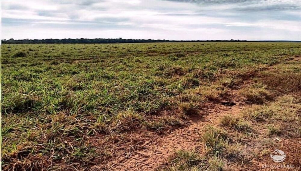 Fazenda, 10000 hectares - Foto 7
