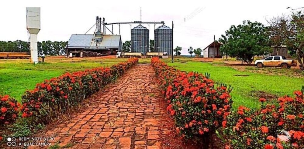 Fazenda, 10000 hectares - Foto 4