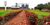 Fazenda, 10000 hectares - Foto 4