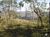Terreno, 17 hectares - Foto 1