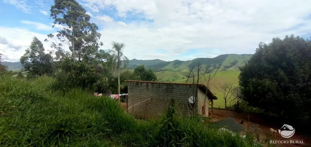 Terreno, 2 hectares - Foto 4