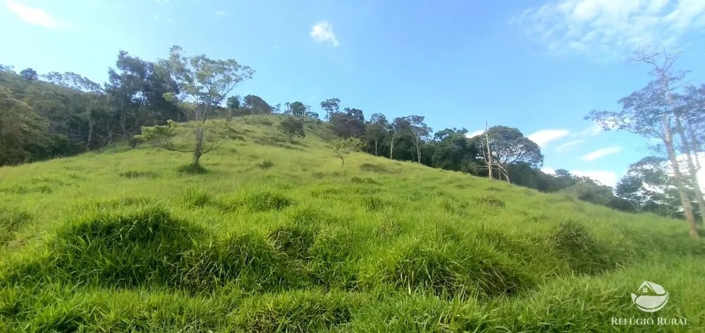 Terreno, 2 hectares - Foto 2