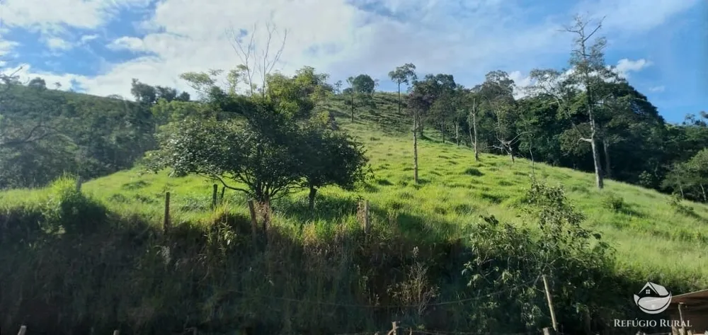 Terreno, 2 hectares - Foto 2