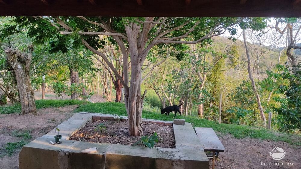 Chácara, 3 hectares - Foto 14