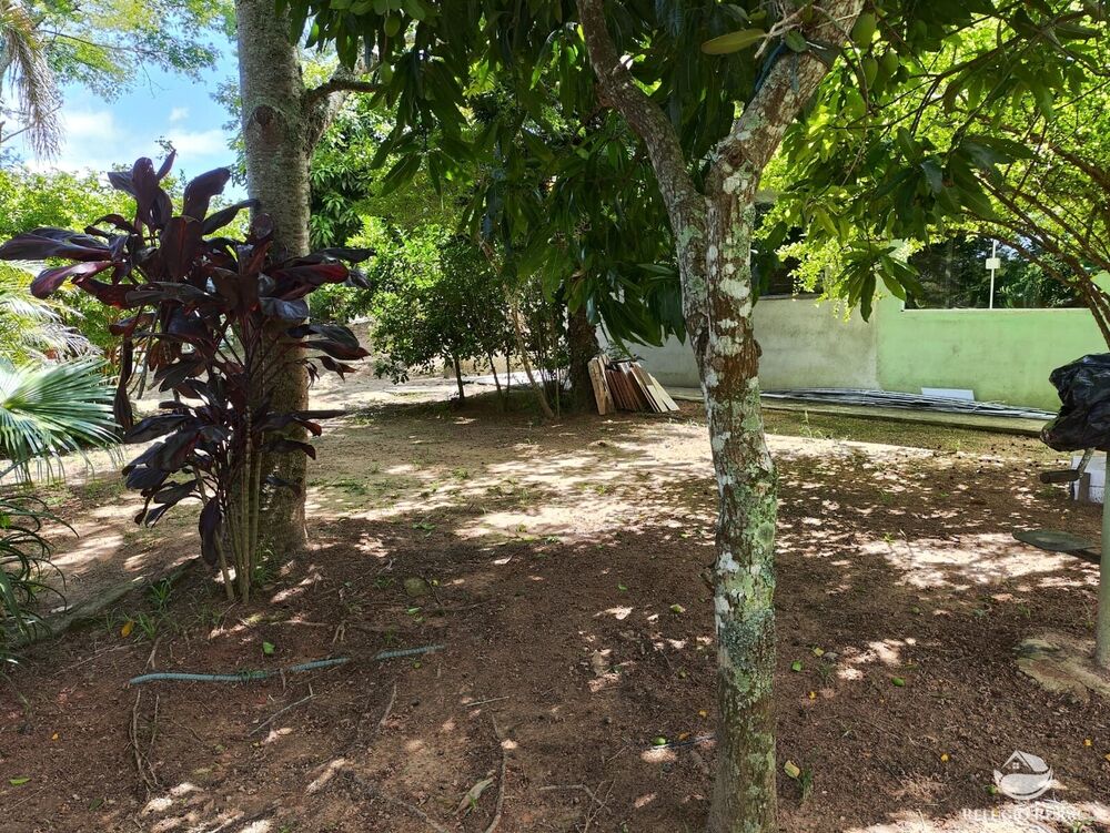 Chácara, 3 hectares - Foto 12