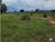 Fazenda, 2200 hectares - Foto 3