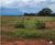 Fazenda, 2200 hectares - Foto 2