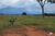 Fazenda, 2200 hectares - Foto 1
