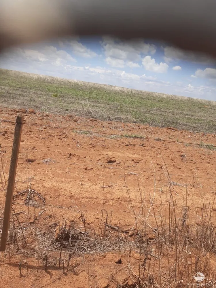 Fazenda, 19000 hectares - Foto 3