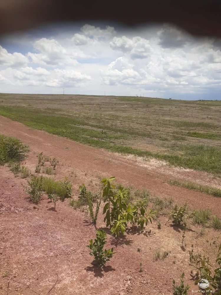 Fazenda, 19000 hectares - Foto 4