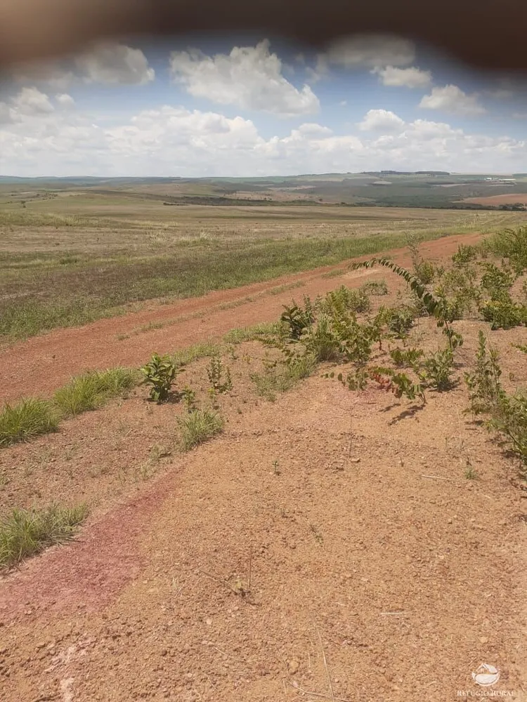 Fazenda, 19000 hectares - Foto 14