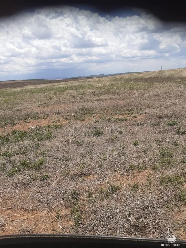Fazenda, 19000 hectares - Foto 16