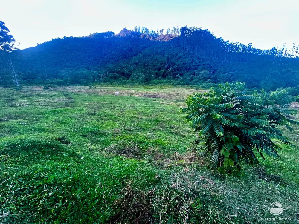 Sítio, 87 hectares - Foto 11