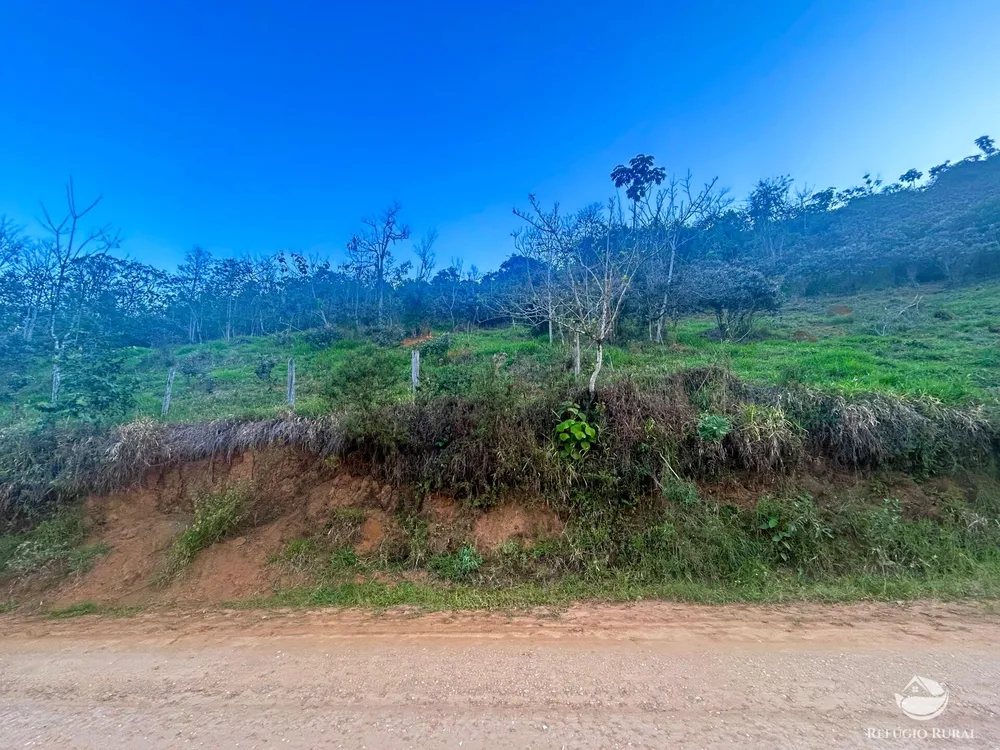 Sítio, 87 hectares - Foto 3