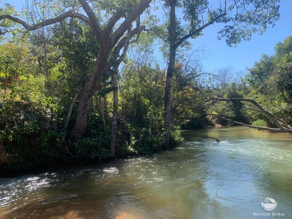 Fazenda à venda com 1 quarto, 10800000m² - Foto 6