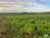 Fazenda, 1080 hectares - Foto 2