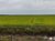 Fazenda-Sítio-Chácara, 2170 hectares - Foto 4