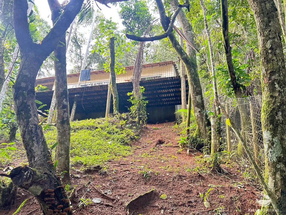 Chácara, 1000 m² - Foto 3