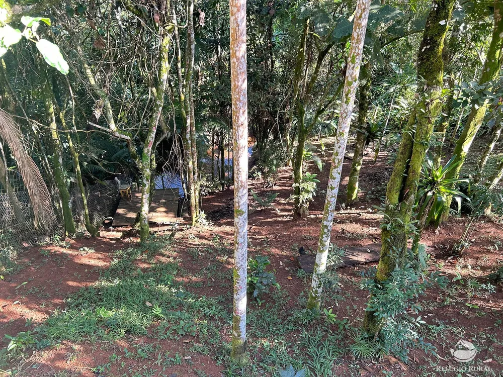 Chácara, 1000 m² - Foto 4