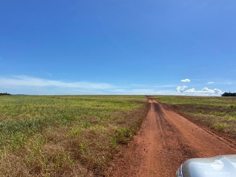 Fazenda à venda com 2 quartos, 20000000m² - Foto 16